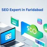 SEO Expert in Faridabad