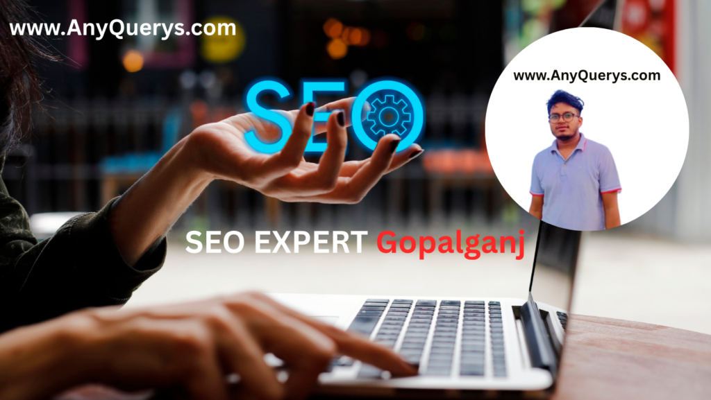 Seo Expert in Gopalganj