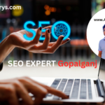 Seo Expert in Gopalganj